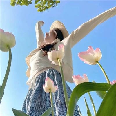 群芳竞艳